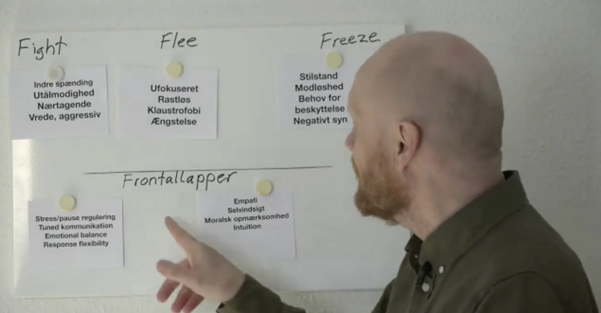 Webinar – Hvorfor agerer du, som du gør, i forskellige arbejds- og ...